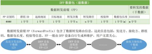 DFP 数据转发协议规则说明