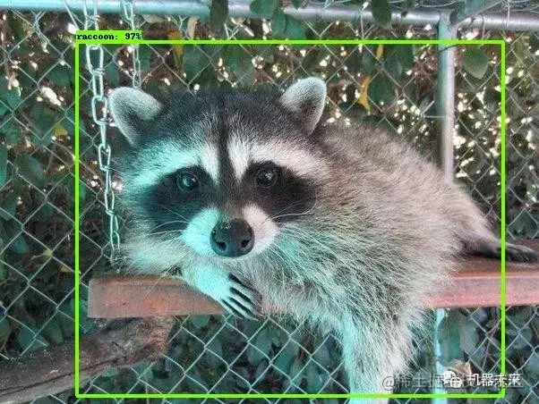 基于Tensorflow2.x Object Detection API构建自定义物体检测器