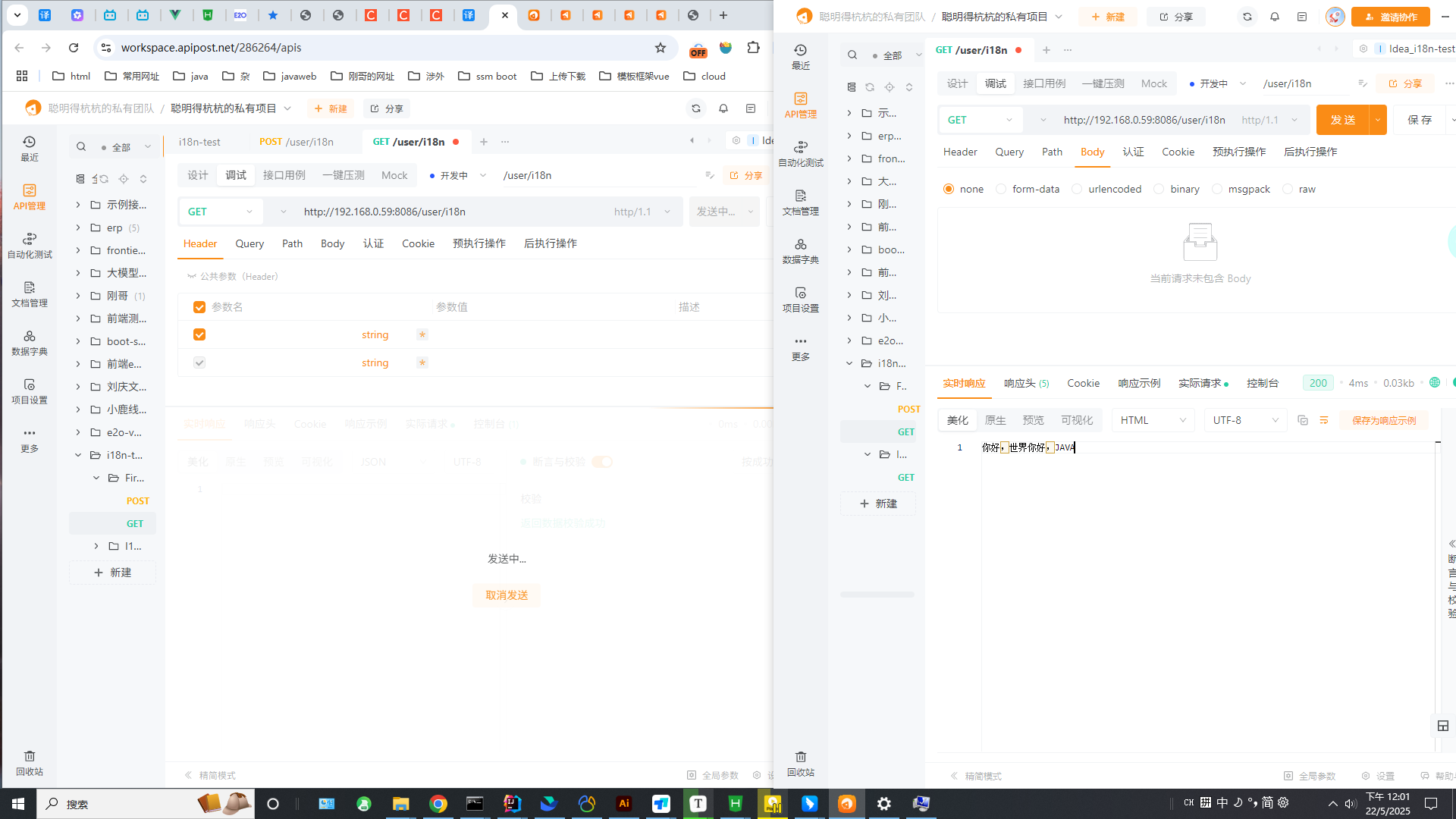 请求同一本地个网址，web端报错