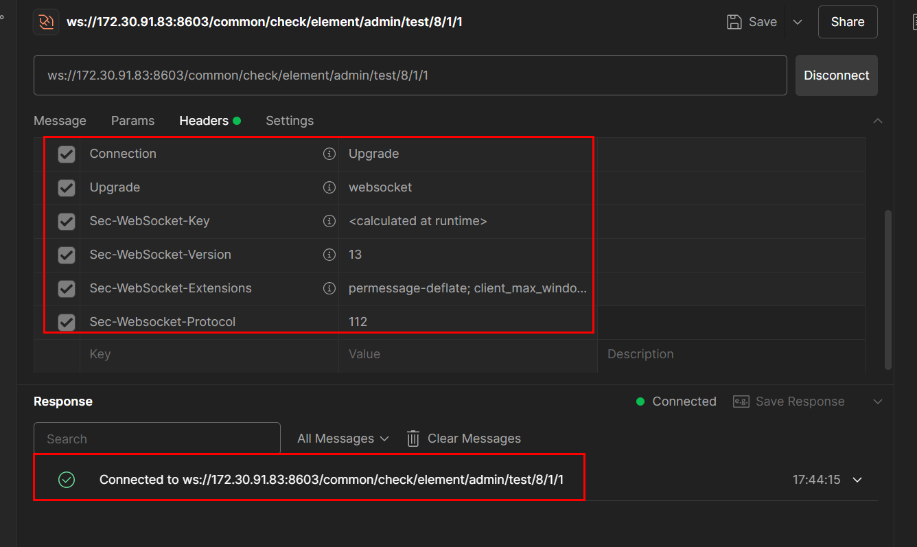 需要二级协议的Websocket连接不上（postman可以）