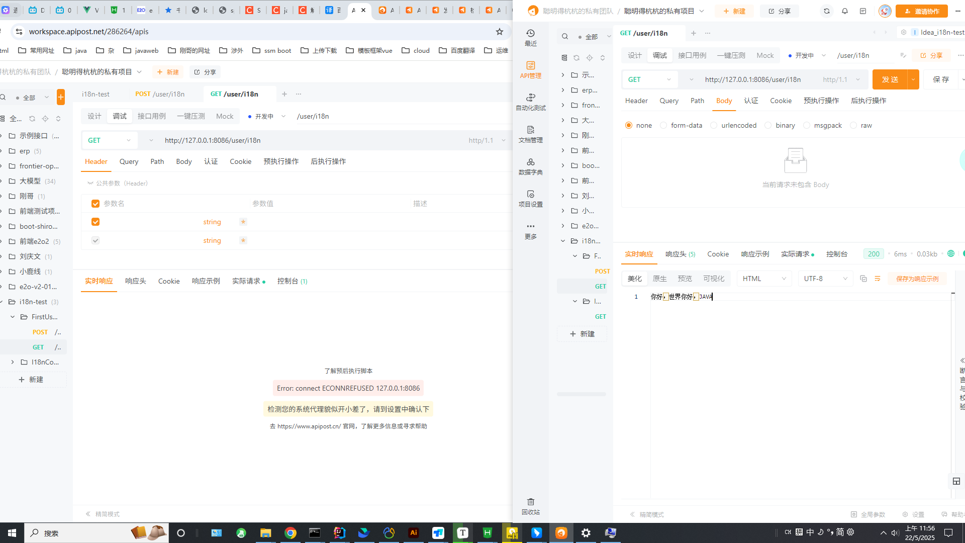 请求同一本地个网址，web端报错